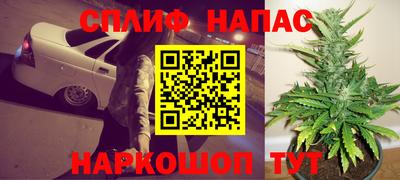 гидра Будённовск
