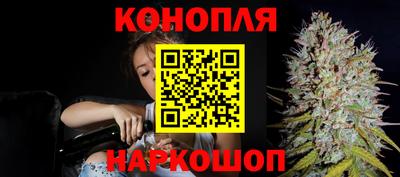 гидра Будённовск