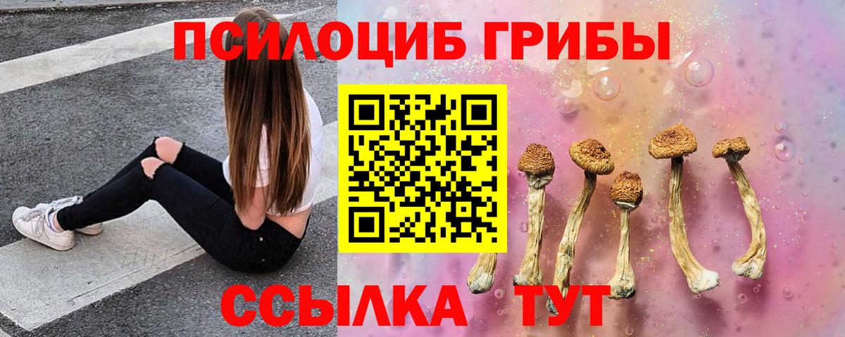 Псилоцибиновые грибы мицелий Хабаровск