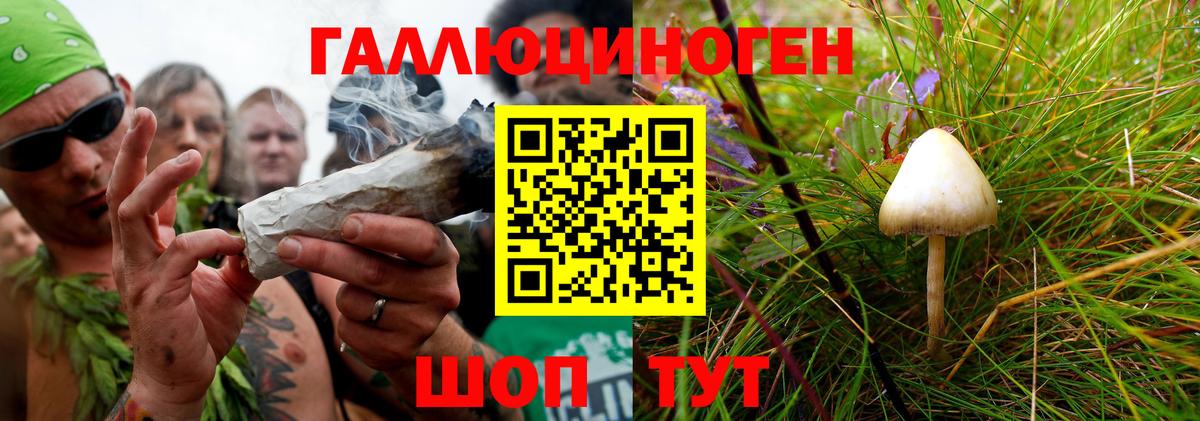 Хабаровск  Псилоцибиновые грибы Cubensis  Вход с VPN 